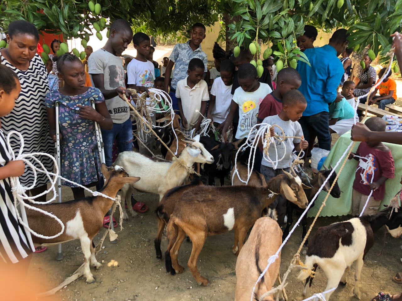 Agriculture and Livestock Image